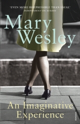 Book cover of An Imaginative Experience by Mary Wesley