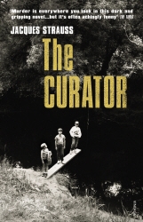 Book cover of The Curator by Jacques Strauss