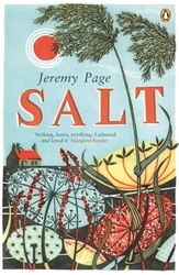 Book cover of Salt by Jeremy Page