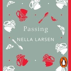 Book cover of Passing by Nella Larsen