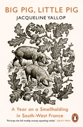 Book cover of Big Pig, Little Pig by Jacqueline Yallop