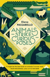Book cover of Animals Strike Curious Poses by Elena Passarello