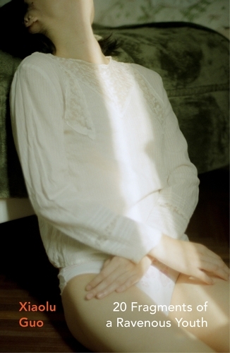 Book cover of 20 Fragments of a Ravenous Youth by Xiaolu Guo